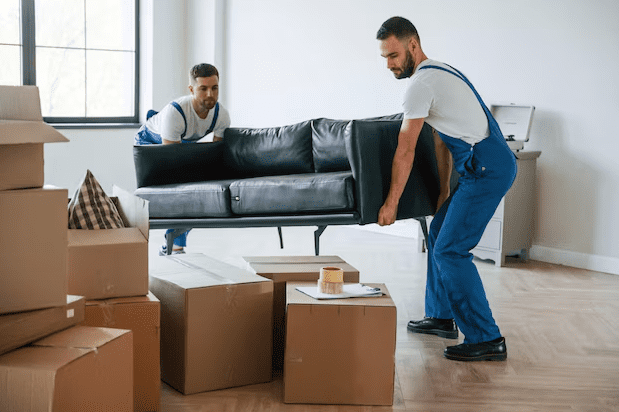 Storage Solutions